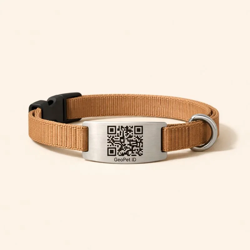 GeoPet ID — цифровой паспорт с QR-кодом — изображение 11