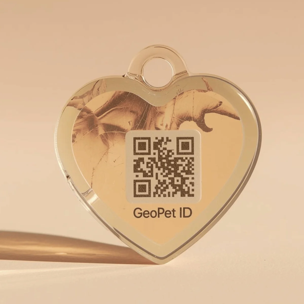 GeoPet ID — цифровой паспорт с QR-кодом — изображение 5